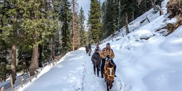 Pahalgam Baisaran By Horse