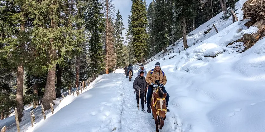 Pahalgam Baisaran By Horse
