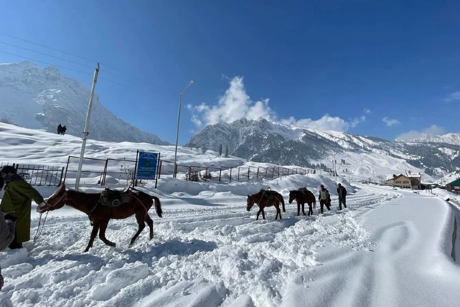Sonamarg Thajiwas Glacier Horse Ride