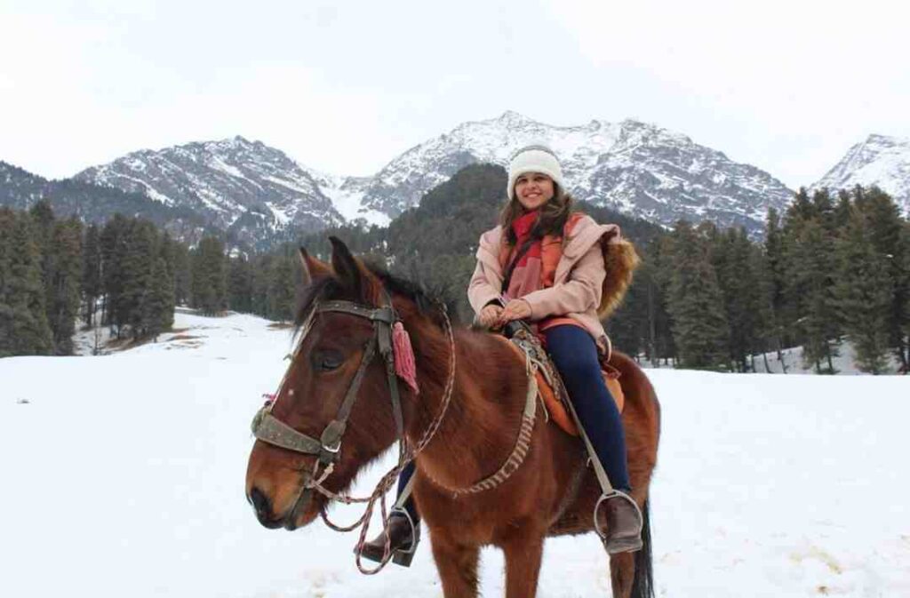 Kashmir Honeymoon Tour Package – 5 Nights 6 Days (Luxury Romantic Escape)