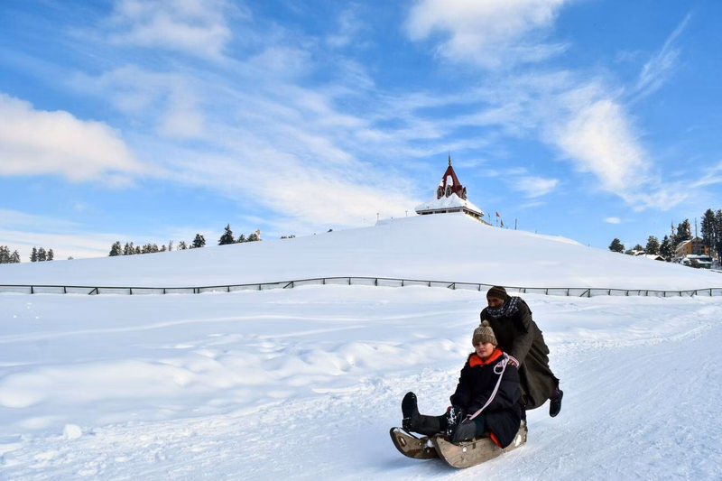 Gulmarg Sledge Ride