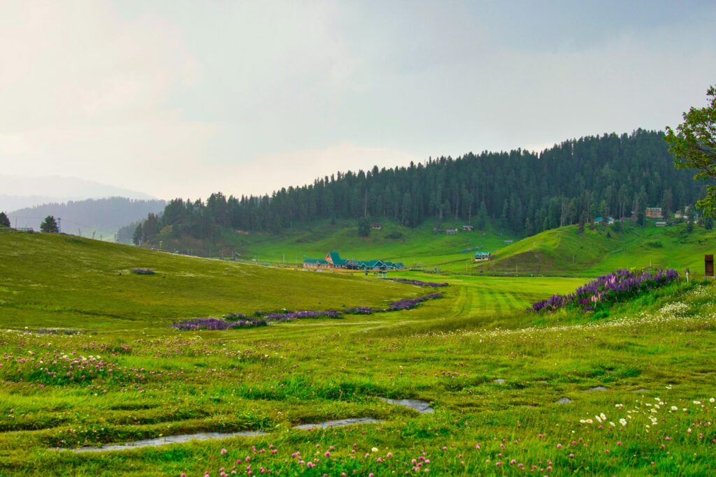 Kashmir Signature Fixed Departure