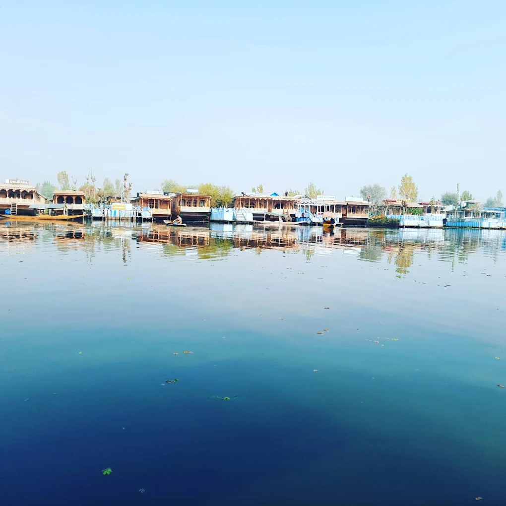 Young Shahzada Group Of Houseboat